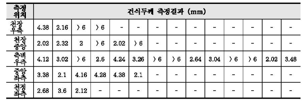 TSL의 건식두께 측정결과