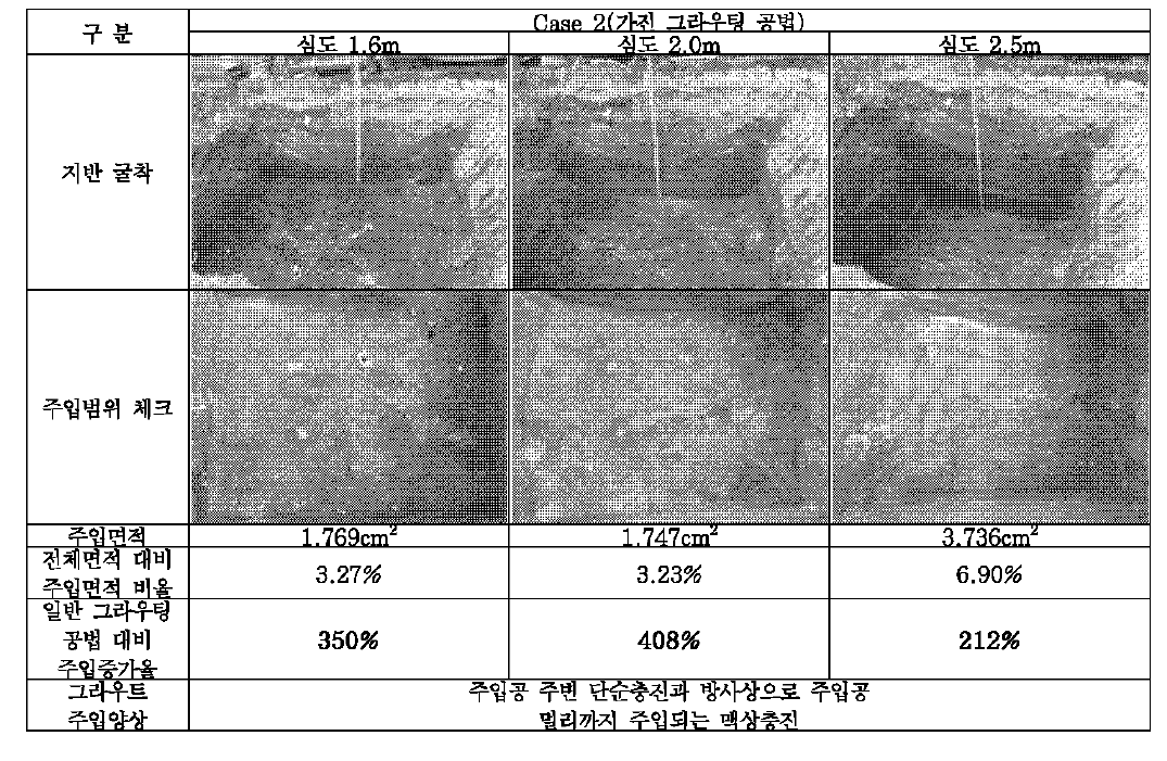 가진 그라우팅 공법 (Case 2)의 주입범위 확인