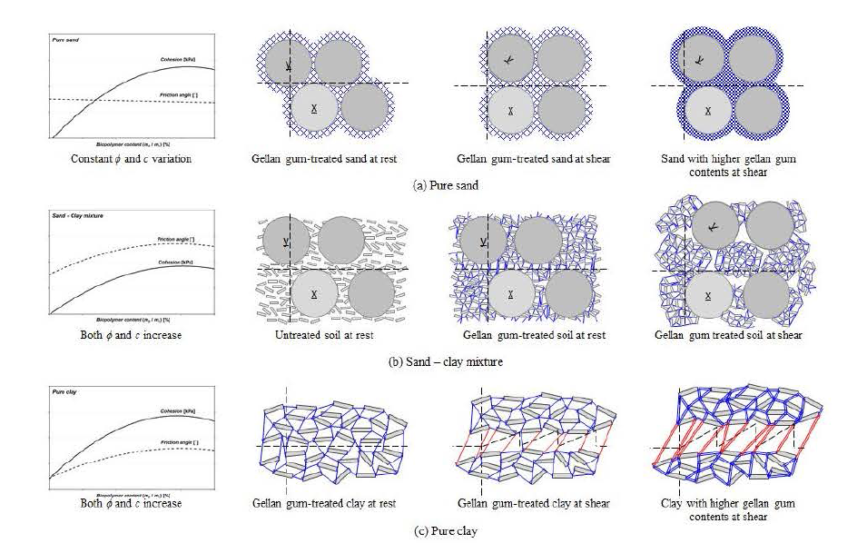 흙 종류에 따른 바이오신소재 결합 및 강도발현 매커니즘 모델