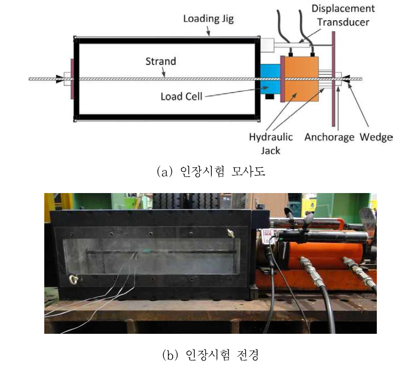 강연선의 인장실험 모식도 및 실험 전경