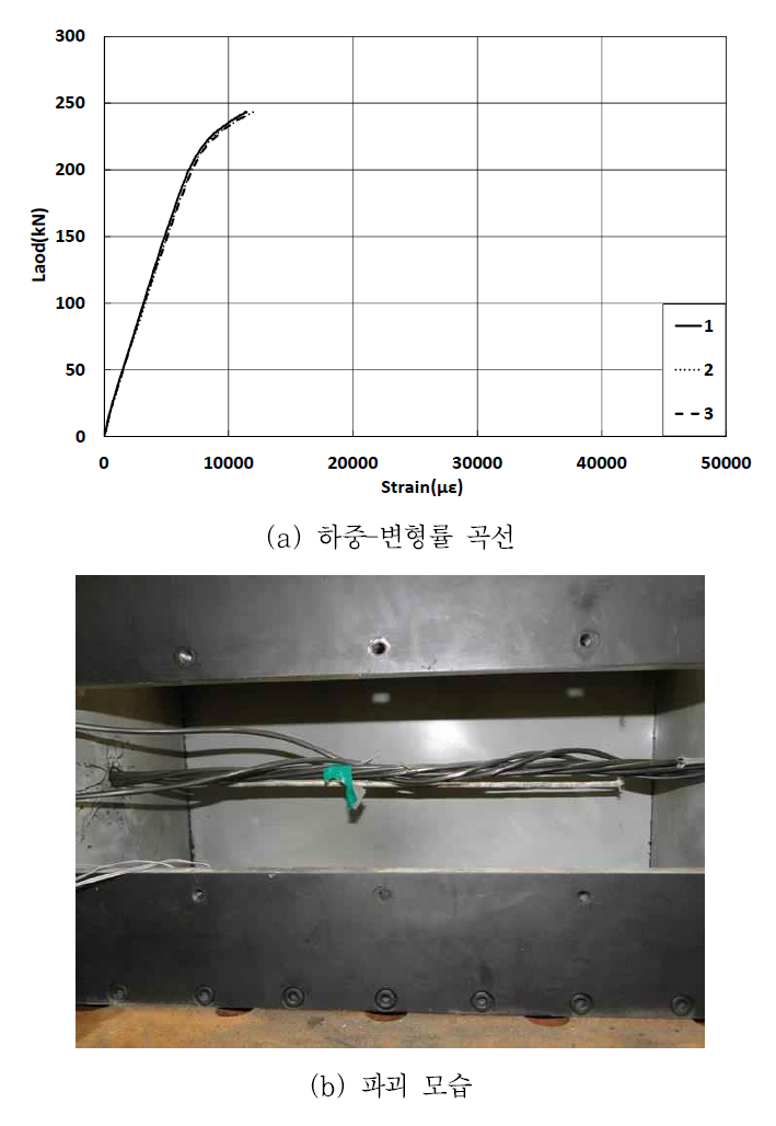 브레이드트루젼 CFRP 심선 강연선의 하중-변형률 곡선 및 파괴 모습
