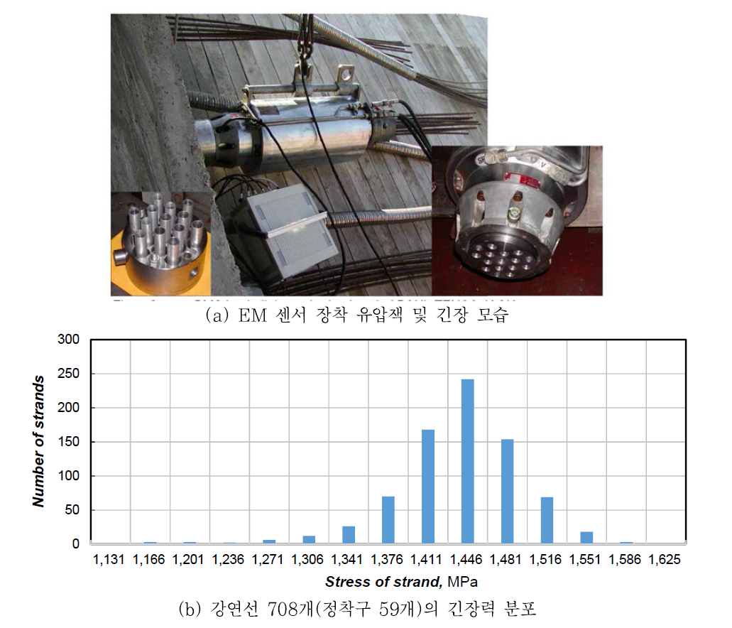 긴장력 분포 계측 장비 및 계측 결과(Chandoga와 Jaroševič, 2005)
