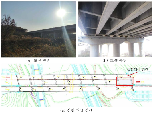 실험 대상 교량(금당교) 전경