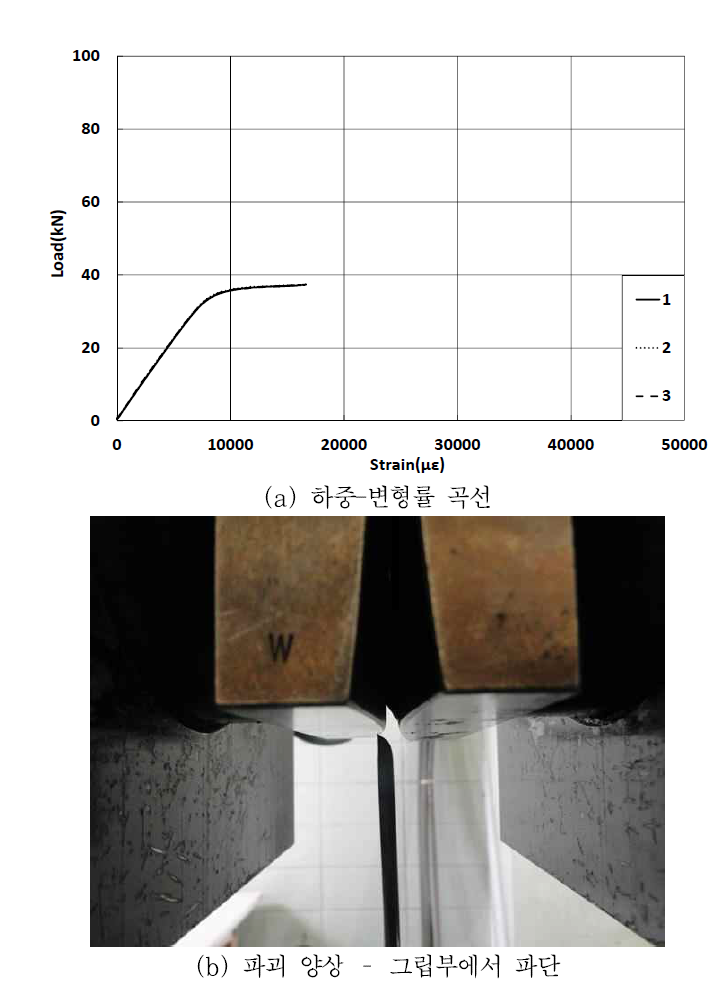 기본 심선의 하중-변형률 곡선 및 파괴양상