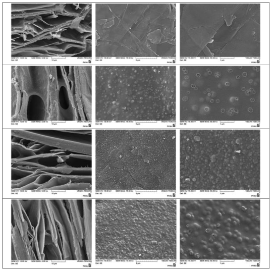 SEM 분석 (a) EV, (b) GS380, (c) GS580 and (d) GS780