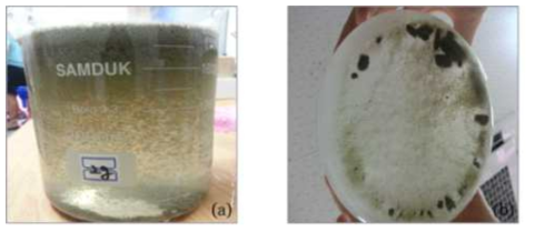 미세기포 발생기에 의한 퇴적토의 제거 효과 (a) Coagulation of sediment particles using PGA coagulant, (b) Removed sediments via micro-air bubbles