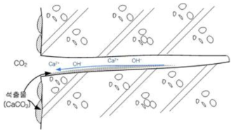 콘크리트내 자기치유 모식도