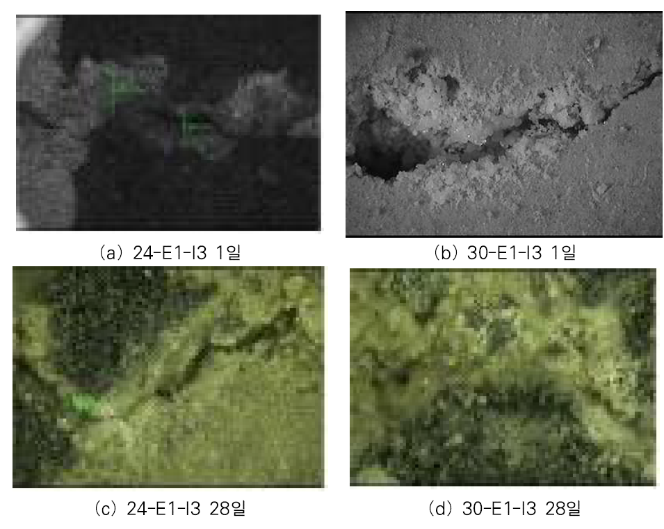 균열 회복 성능 현미경 사진