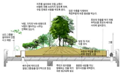 인공지반 상부 식재조성 시 고려요소 출처: 한국인공지반녹화협회, 인공지반녹화소개,