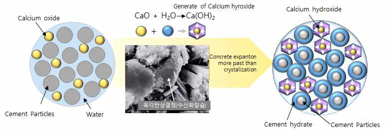 CaO계 팽창재의 수화메커니즘(www.taiheiyo-cement.co.jp)