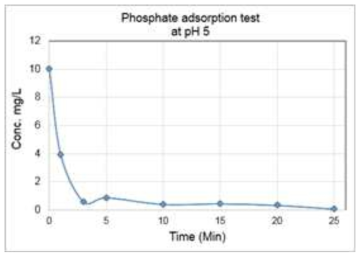pH 5에서의 인산염 제거(철염 2 g/ 0.5 L)