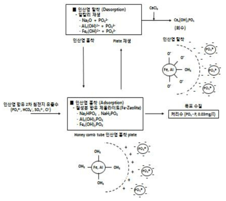 인산염 흡착 및 탈착 메카니즘