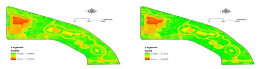 드론으로부터 촬영된 영상을 통해 추출된 NDVI 및 SAVI