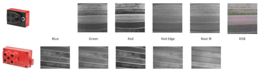 다중분광 센서별 영상 샘플
