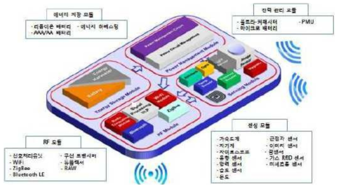 통합 IOT 모듈 모식도