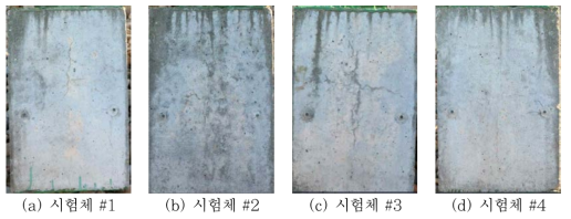 물-시멘트비 50%, 염분함유량 0.64%인 시험체