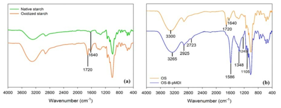 산화전분(OS)의 화학적 특성. 좌: 산화전분(OS)의 FTIR spectra, 우: 산화전분과 1% B-pMDI과의 화학적 반응의 FTIR spectra
