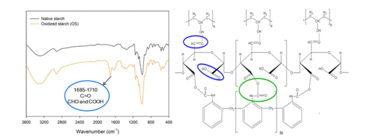 산화전분(OS)의 첨가량에 따른 전분접착제의 화학적 특성. 좌: 전분접착제의 FTIR spectra, 우: (b)산화전분의 B-pMDI 및 PVA의 화학반응
