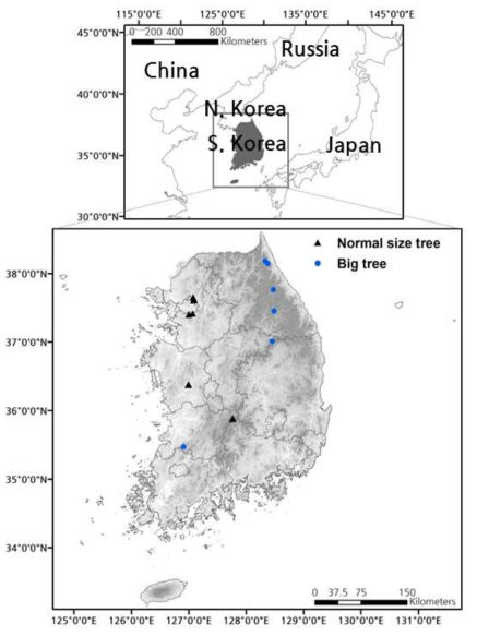 산림유존목과 일반 공시목의 공간분포도