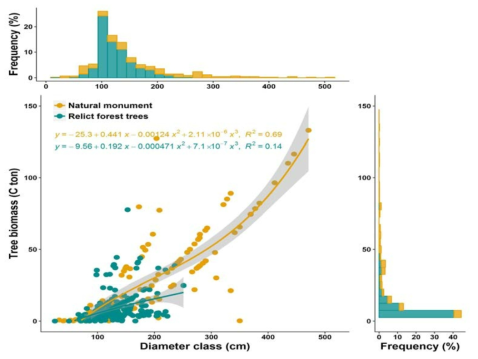 산림유존목과 천연기념물 노거수의 직경(㎝) 대비 생물총량(C ton) 산포도