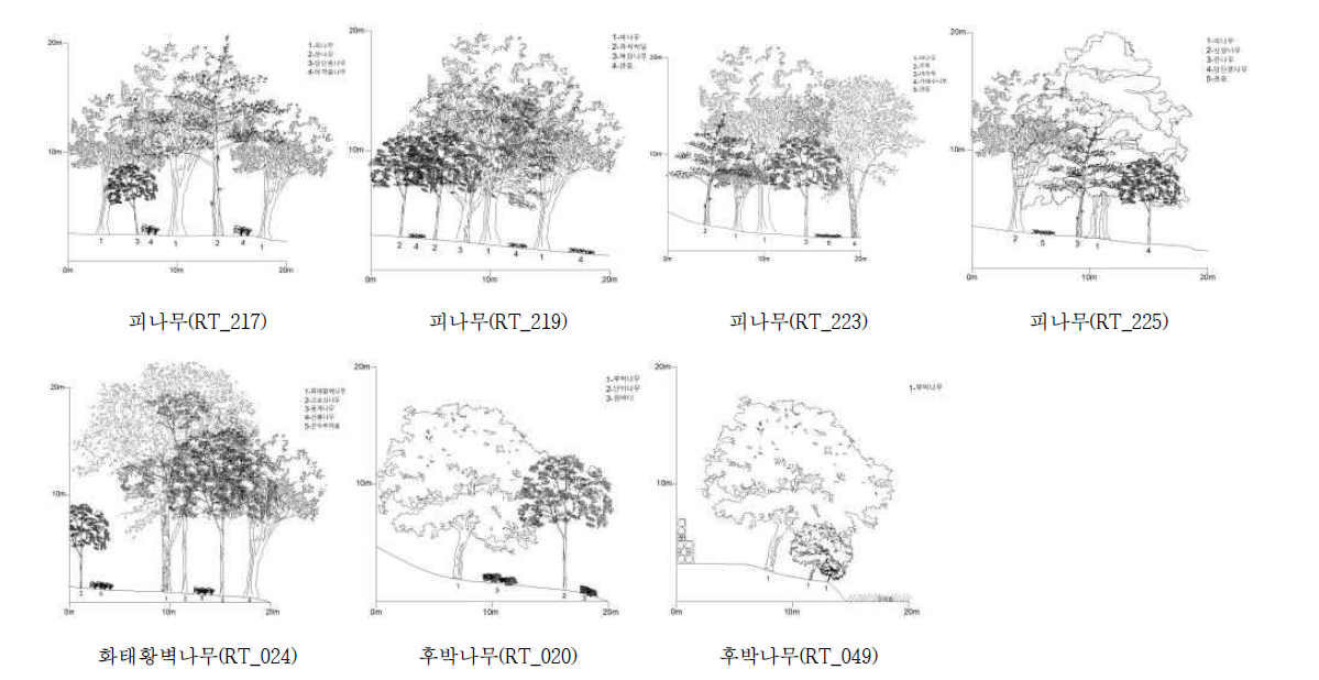 산림유존목 생육임분 단면도