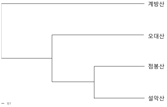 신갈나무 집단의 Nei’ genetic distance를 이용한 UPGMA의 유집분석