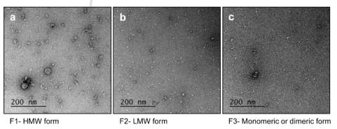 전자현미경을 통한 AtAPX1 분획 단백질의 구조 분석. (a) 고분자량 구조의 F1 분획 단백질. (b) 저분자량 구조의 F2 분획 단백질. (c) 단일체 혹은 이량체 구조의 F3 분획 단백질. HMW form, High molecular weight form; LMW form, Low molecular weight