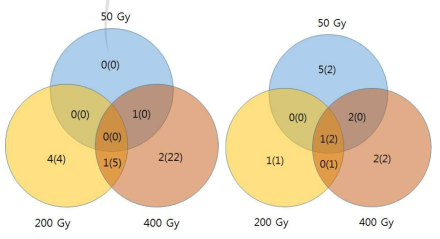 영양생장초기(좌)와 영양생장후기(우)의 단백질 발현 증가(감소) 갯수