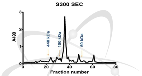 S300 Size exclusion chromatography을 이용한 수용성 폴리머 최종 분리