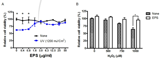 인간 HaCaT세포에 Deinococcus EPS를 처리하였을 경우 UVB(A) 혹은 H2O2(B)에 대한 세포 보호 기능 비교 분석