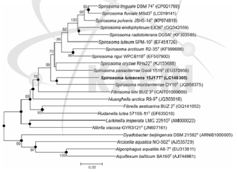 S. fluminis의 계통발생 분석