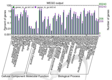 Categories of three gene ontology classes in level 2 of the the up and down-regulated DEGs between cultivars