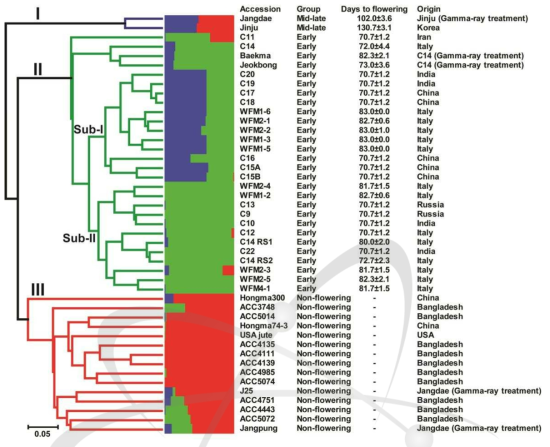 Phylogenetic tree and population structure based on genotypes of 70 EST-SSR markers, origin, and days to flowering (DTF) information of 45 kenaf accessions in this study