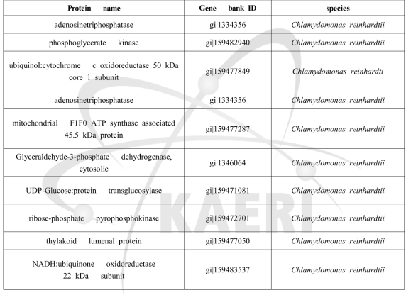 Proteins were differentially up-regulated in response to gamma- radiation in C. reinhardtii