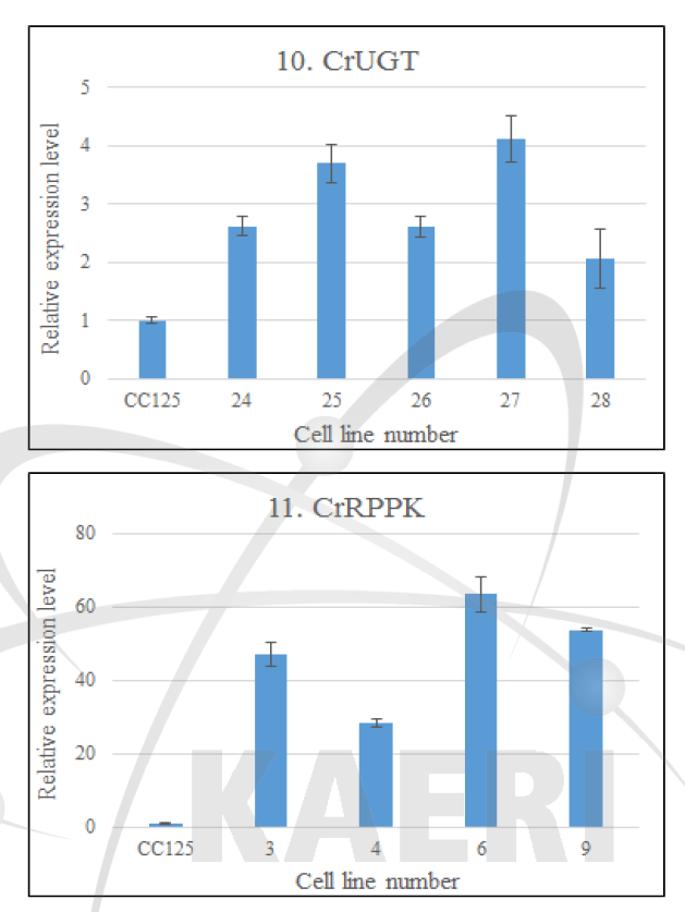 Expression levels of DDR genes (CrUGT and CrRPPK) in C. reinhardtii mutants by quantitative RT-PCR analysis