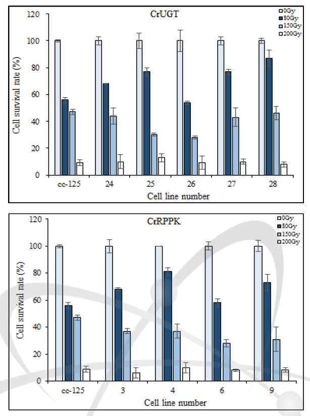 Cell survival rate of C. reinhardtii mutants (CrUGT and CrRPPK) after various gamma-irradiation