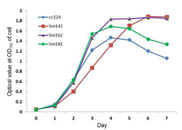 Determination of growth rate and starch content for starch mutants. A. OD values were measured at 750 nm using a spectrophotometer