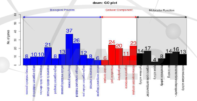 GO analysis of down-regulated DEGs between cc124 and sm142