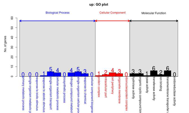 GO analysis of up-regulated DEGs between cc124 and sm142