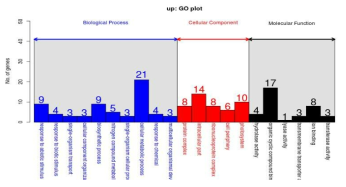 GO analysis of up-regulated DEGs between cc124 and sm162