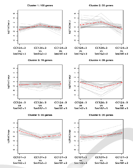 Clustering analysis of DEGs using line plot in sm142, sm162 and sm181 in comparison with cc124 control