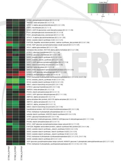 Accumulation levels of gene transcripts involved in starch biosynthesis in three mutants