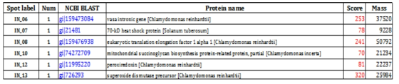 MALDI-TOF and protein identifications