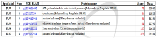 MALDI-TOF and protein identifications