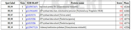 MALDI-TOF and protein identifications