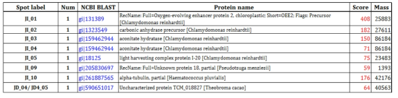 MALDI-TOF and protein identifications