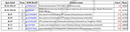 MALDI-TOF and protein identifications