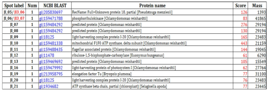 MALDI-TOF and protein identifications