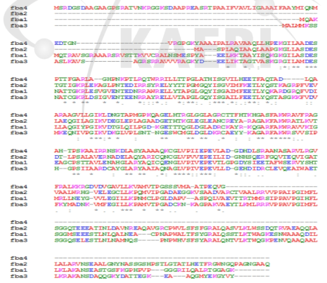 Multiple sequence alignment of FBA proteins