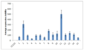 Expression levels of transformation line in TAP media